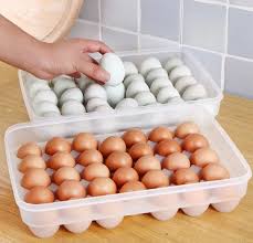 Plastic Egg Storage Container Holder For Refrigerator Egg Tray Holds 24 Eggs (1 Pc)