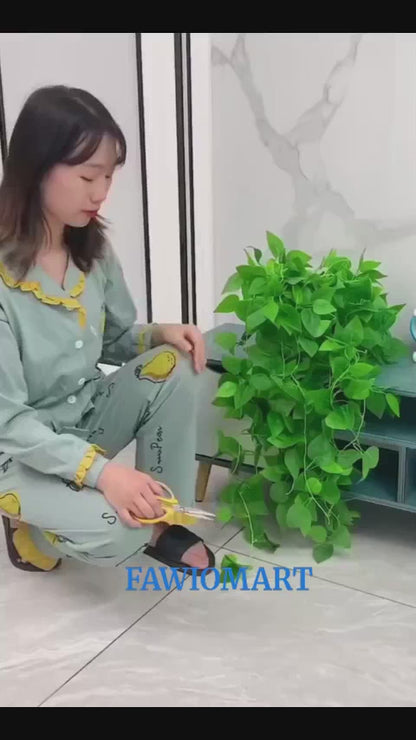 30pcs wall Plant Climbing Clip widely used for holding plants and poultry purposes and all (Box/30 Pcs Set)